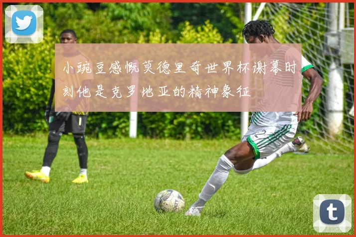 小豌豆感慨莫德里奇世界杯谢幕时刻他是克罗地亚的精神象征