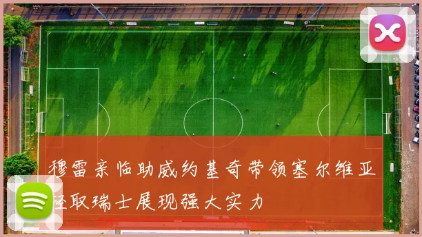 穆雷亲临助威约基奇带领塞尔维亚轻取瑞士展现强大实力