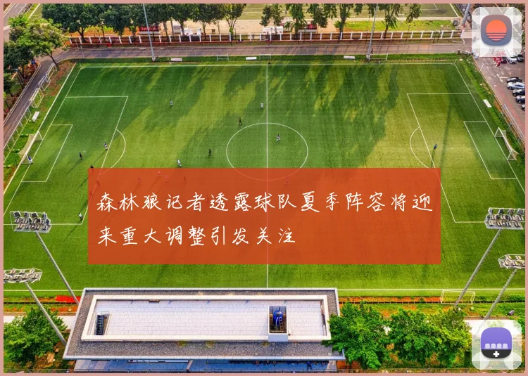 森林狼记者透露球队夏季阵容将迎来重大调整引发关注